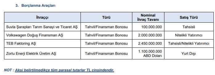 Zorlu Enerji (ZOREN) Borçlanma