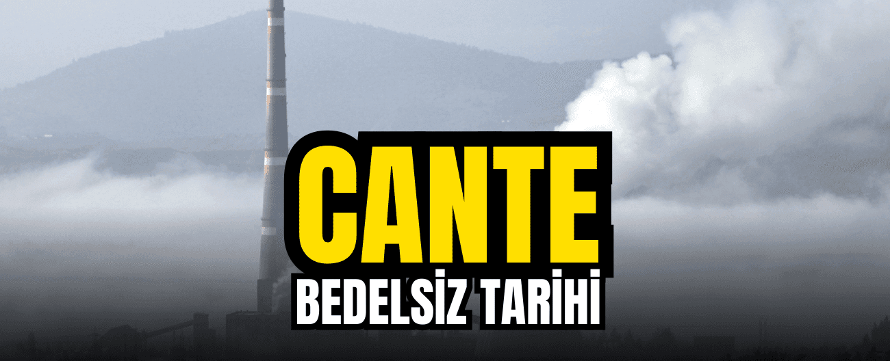 CANTE bedelsiz tarihi belli oldu!