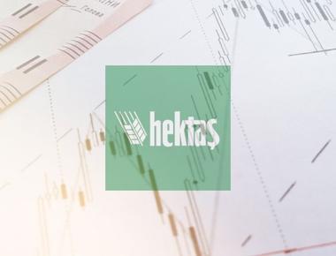 Hektaş bedelli sermaye artırımı ne zaman? HEKTS ne zaman bölünecek?
